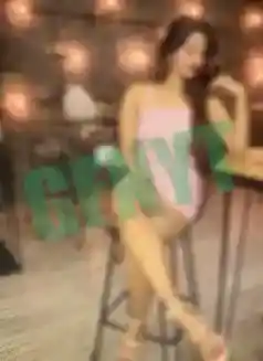 Providing Exceptional Quality Call Girl in Ambala Meetings
